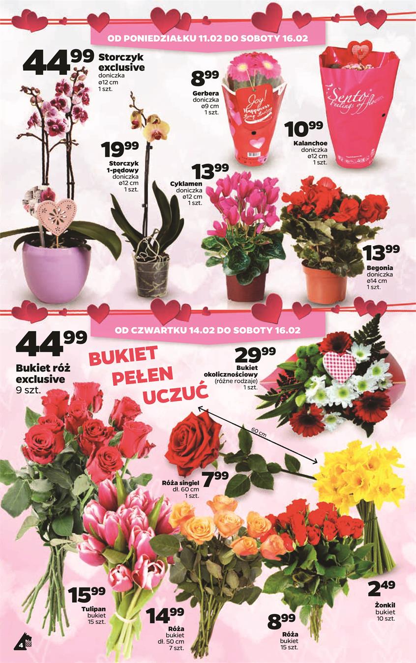 Gazetka Netto Sp. z o.o. nr 4 od 2019-02-11 do 2019-02-17