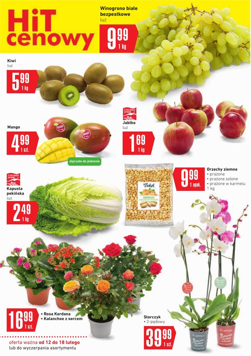 Gazetka SCA PR Polska Sp. z o.o. nr 17 od 2019-02-12 do 2019-02-18