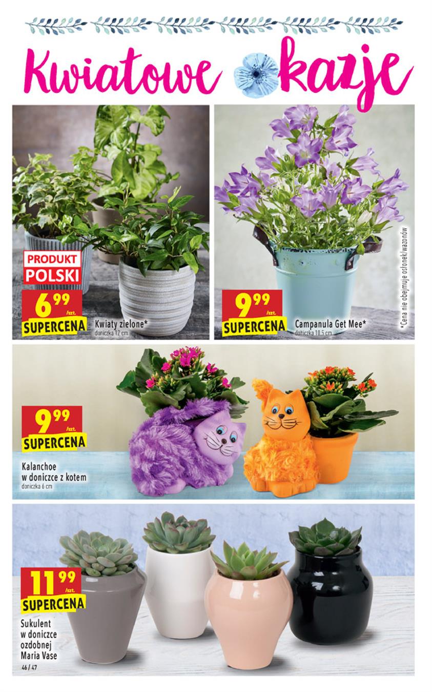 Gazetka Jeronimo Martins Polska SA nr 46 od 2019-02-21 do 2019-02-27