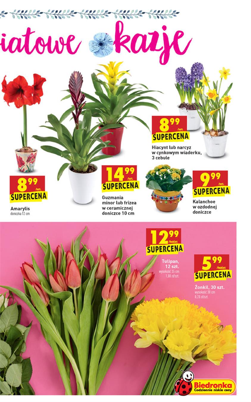Gazetka Jeronimo Martins Polska SA nr 63 od 2019-02-25 do 2019-03-03