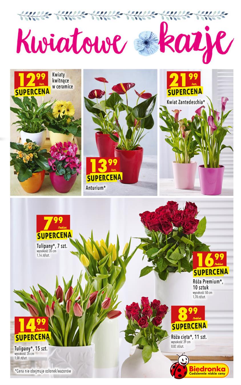 Gazetka Jeronimo Martins Polska SA nr 43 od 2019-02-28 do 2019-03-06