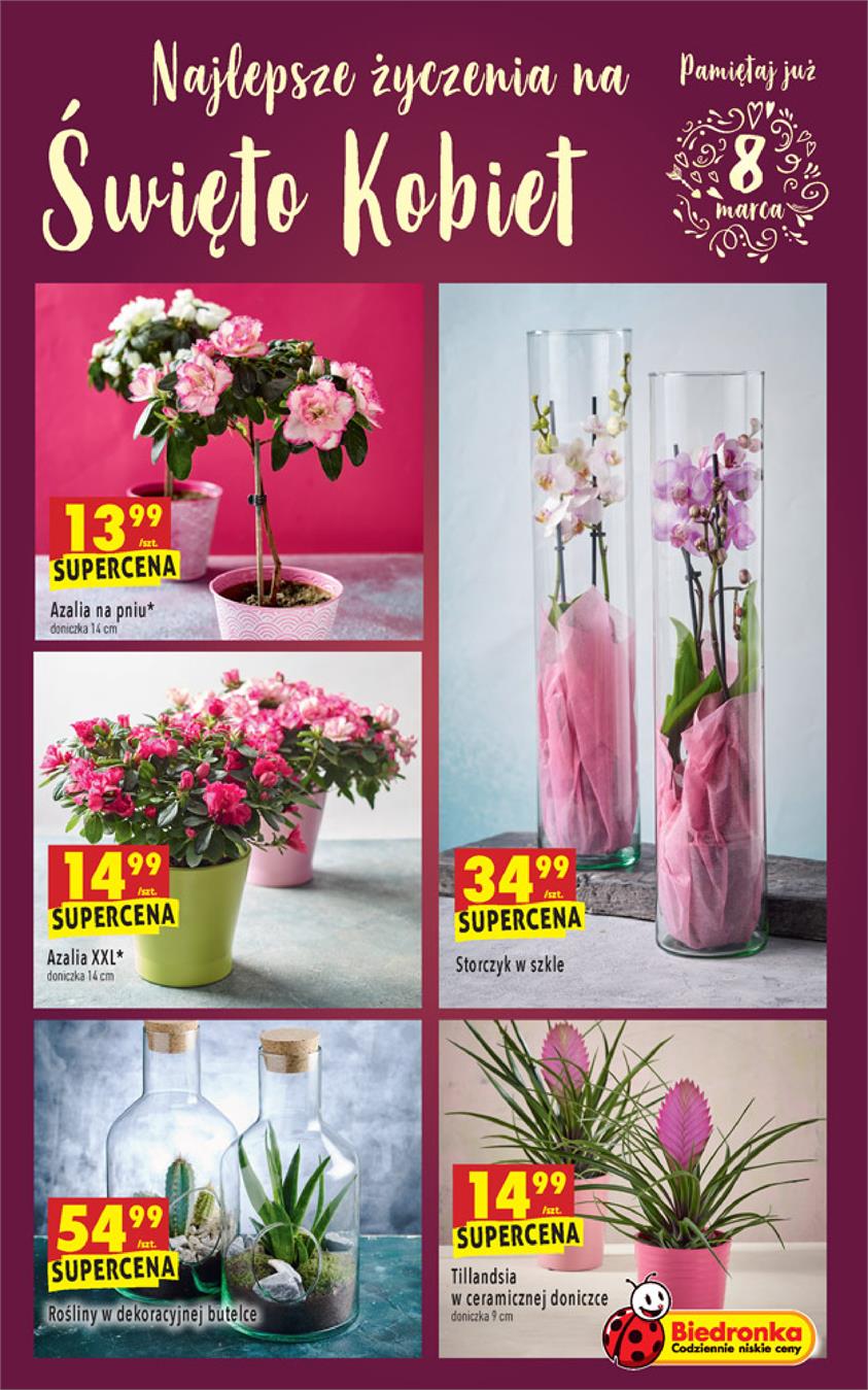 Gazetka Jeronimo Martins Polska SA nr 63 od 2019-03-04 do 2019-03-10
