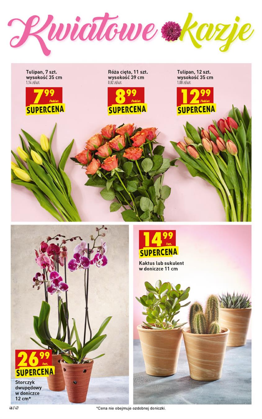 Gazetka Jeronimo Martins Polska SA nr 46 od 2019-03-14 do 2019-03-20