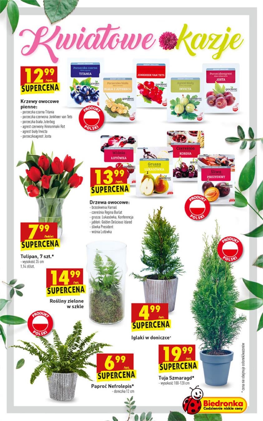 Gazetka Jeronimo Martins Polska SA nr 55 od 2019-03-21 do 2019-03-27