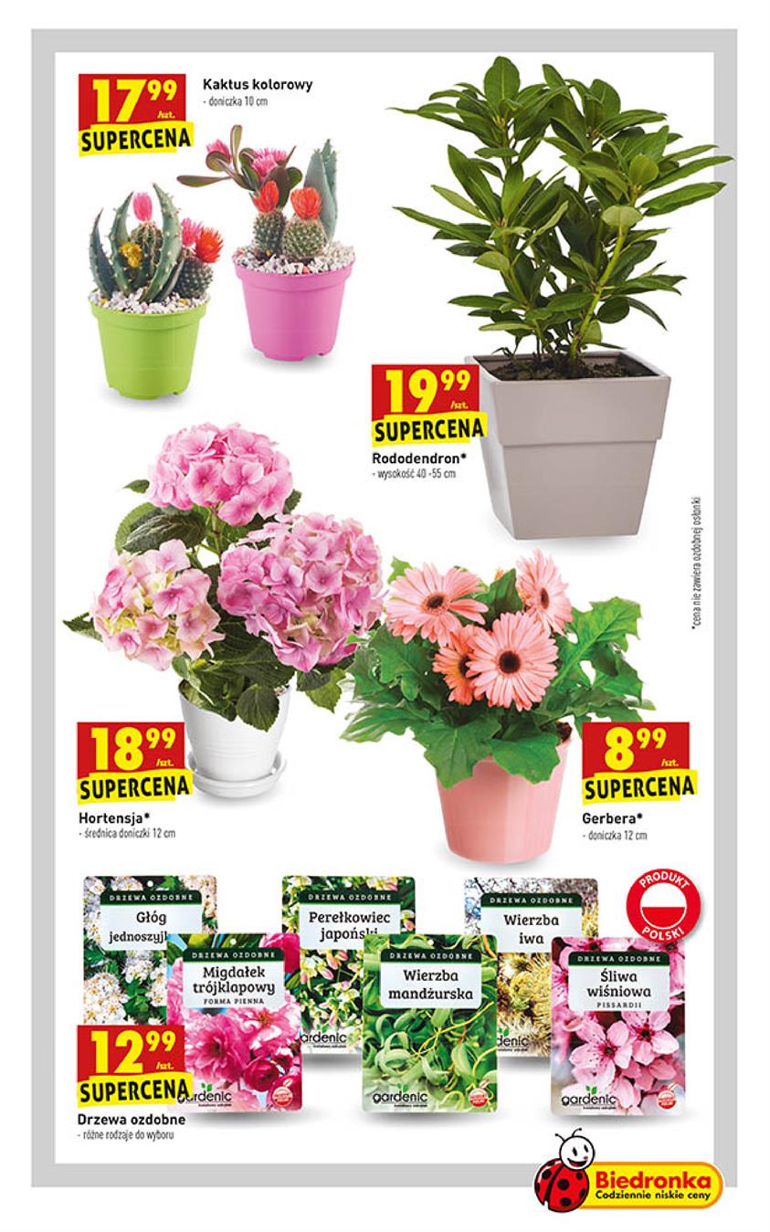 Gazetka Jeronimo Martins Polska SA nr 63 od 2019-03-25 do 2019-03-31