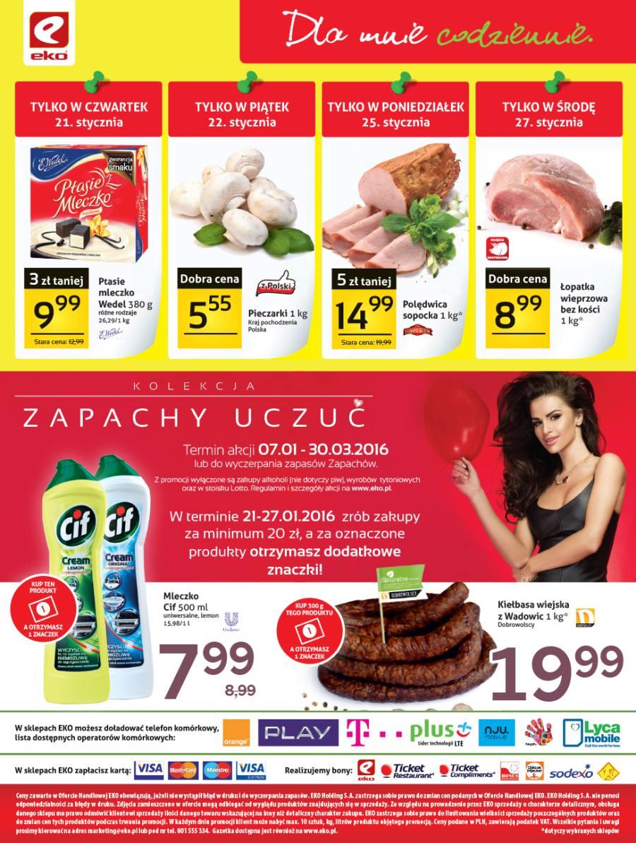 Gazetka LEDI sp z o.o. nr 4 od 2016-01-21 do 2016-01-27