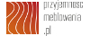 Logo sklepu przyjemnoscmeblowania.pl