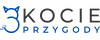 Logotyp