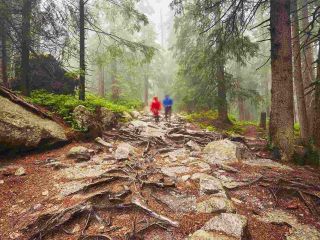 beskid śląski