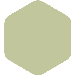 bondex