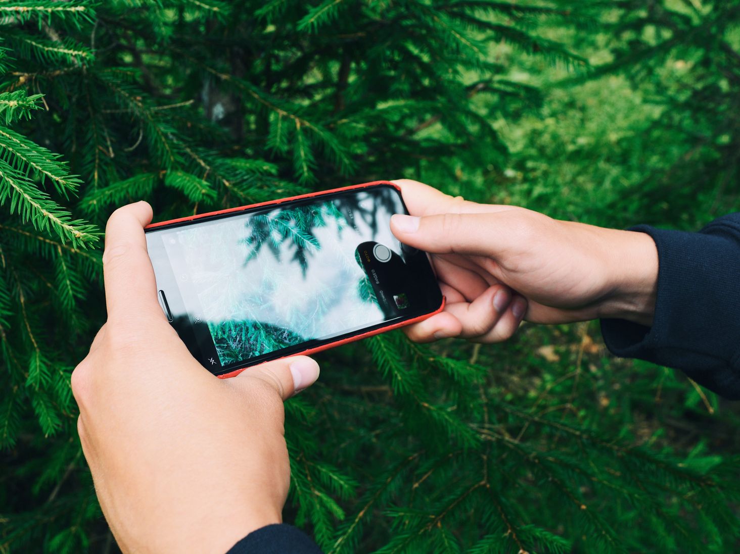 Telefon Z Dobrym Aparatem Do 1500