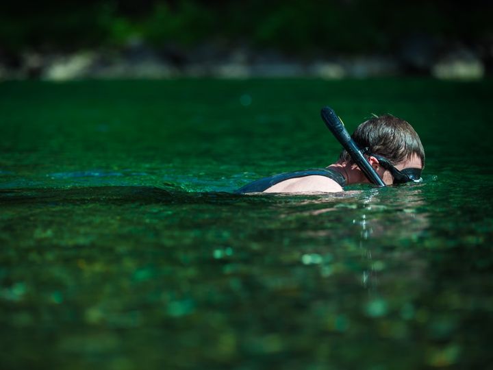 bog snorkelling