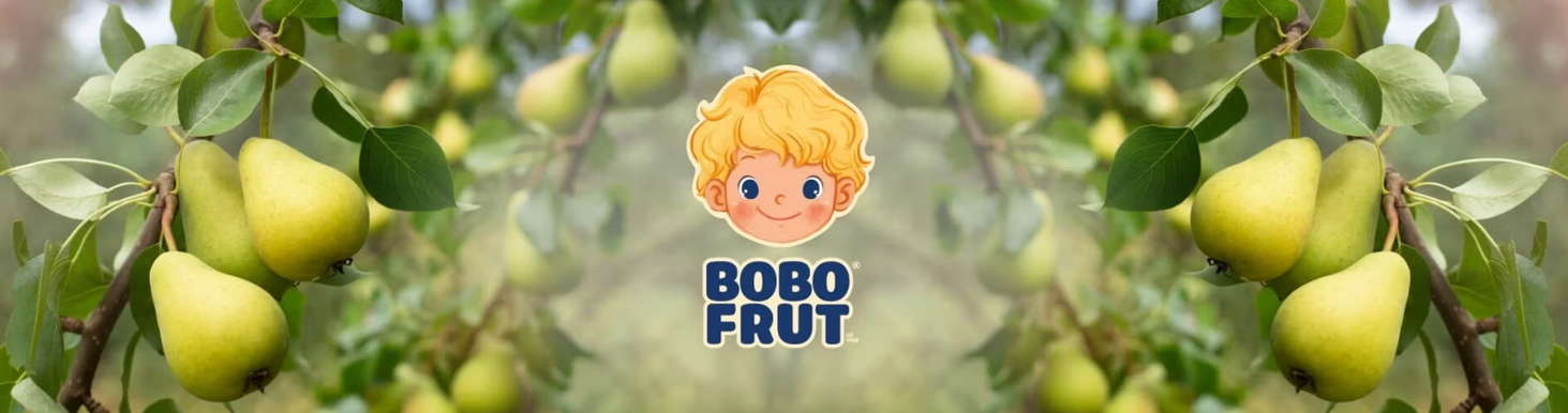 bobo frut baner