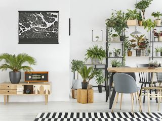 Styl botaniczny w aranżacji wnętrz, czyli zamień mieszkanie w miejską dżunglę