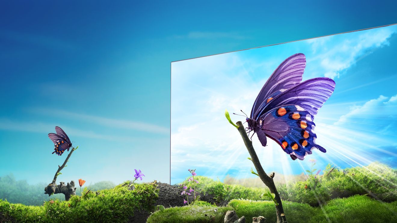 Hisense tv precyzyjny kolor