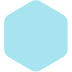 bondex