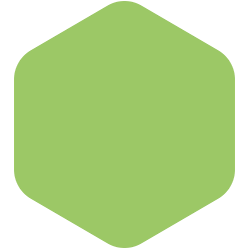 bondex