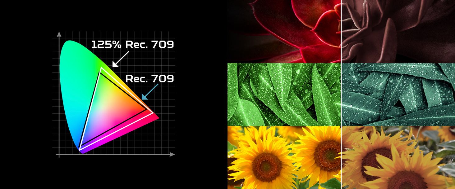 Acer PD1335W