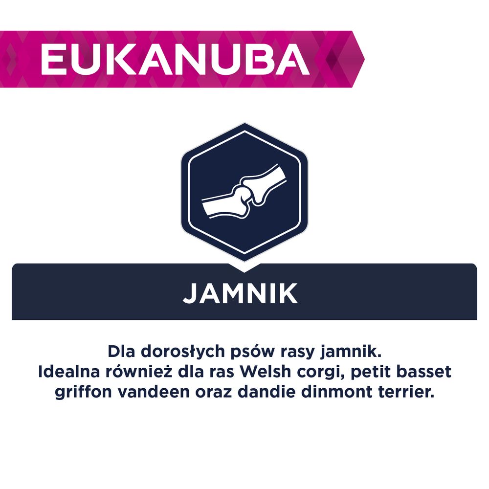 Eukanuba Dorosłe psy rasy jamnik