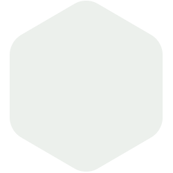 bondex