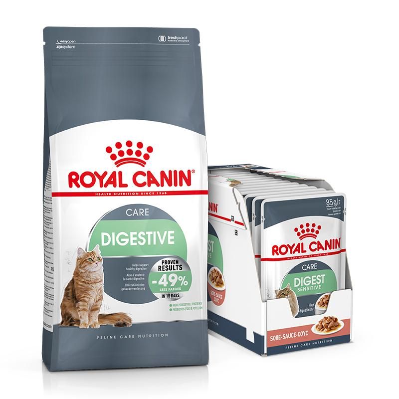 Royal canin digestive для кошек. Корм Digestive Care для кошек. Royal Canin Digestive Care для кошек. Роял Канин пауч Дайджестив пауч. Royal Canin корм сухой Digestive Care для кошек.