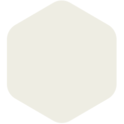bondex