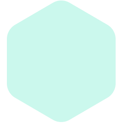 bondex