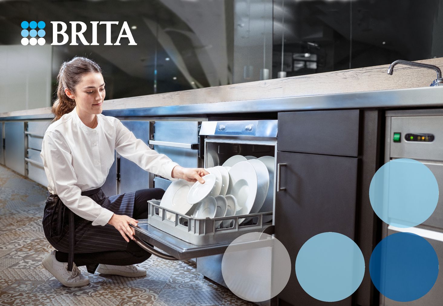 Brita baner
