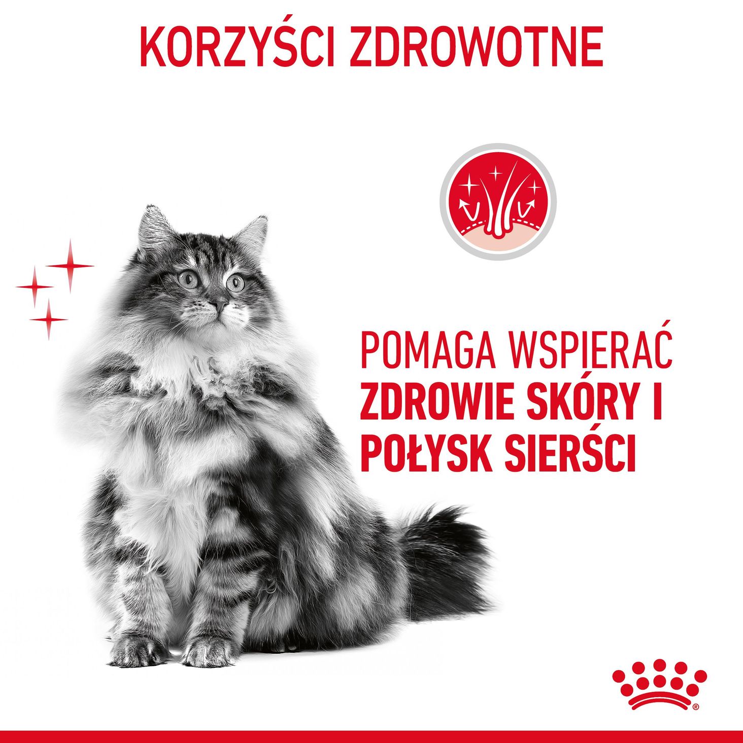 ROYAL CANIN® Hair & Skin Care-1
