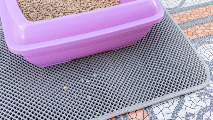 Cat toilet on the mat. Waterproof mat for cat litter and wood filler for small animals.