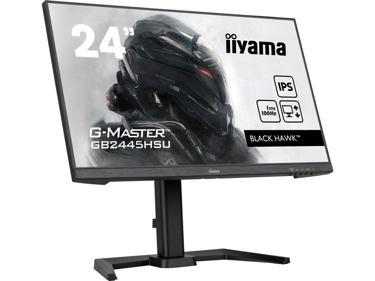Monitor Iiyama 24 GB2445HSU-B1 - Opinie i ceny na Ceneo.pl