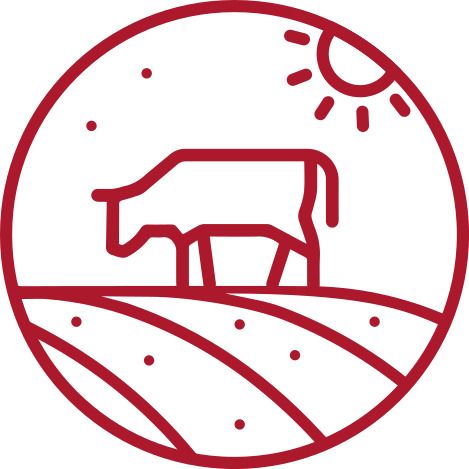 Genactiv 