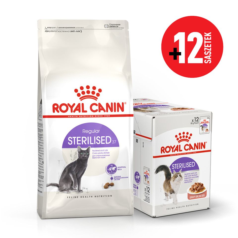 Royal Canin FHN Regular Sterilised 37 zestaw
