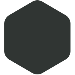 bondex