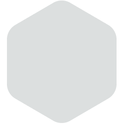 bondex