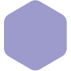 Bondex