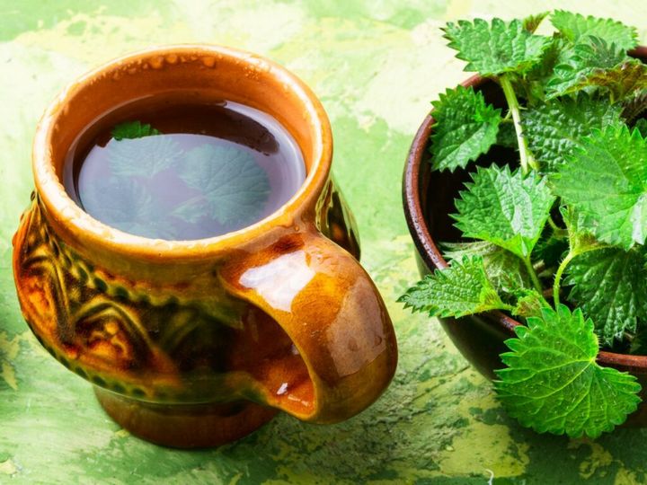 Herbata z pokrzywy: jak często pić?