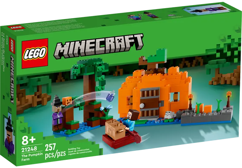 LEGO Minecraft 21248 - 1