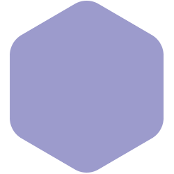 Bondex