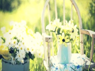 Najładniejsze meble ogrodowe – TOP 6