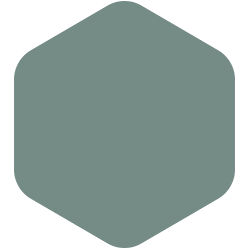 bondex