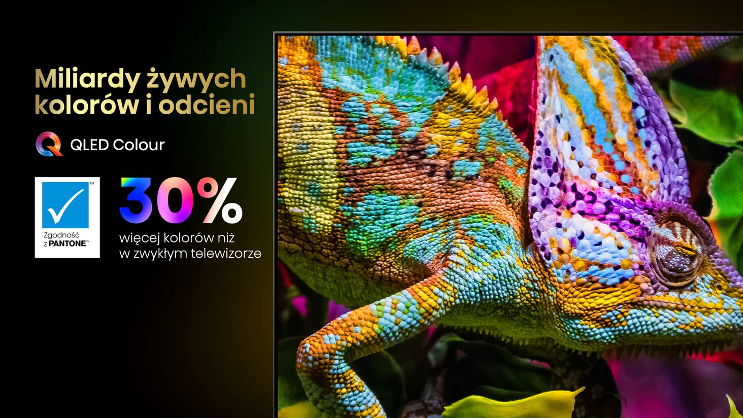 Hisense QLED-Colour