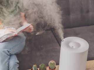 Najlepsze nawilżacze powietrza na suche zimowe dni: Ranking 2023