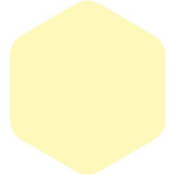 Bondex