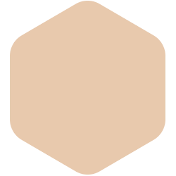 bondex