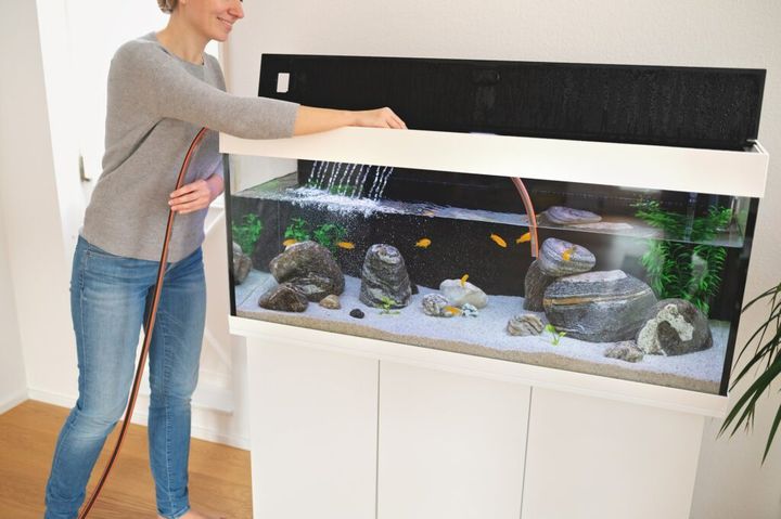 Young woman is changing water and cleaning the aquarium in the room