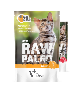 RAW PALEO