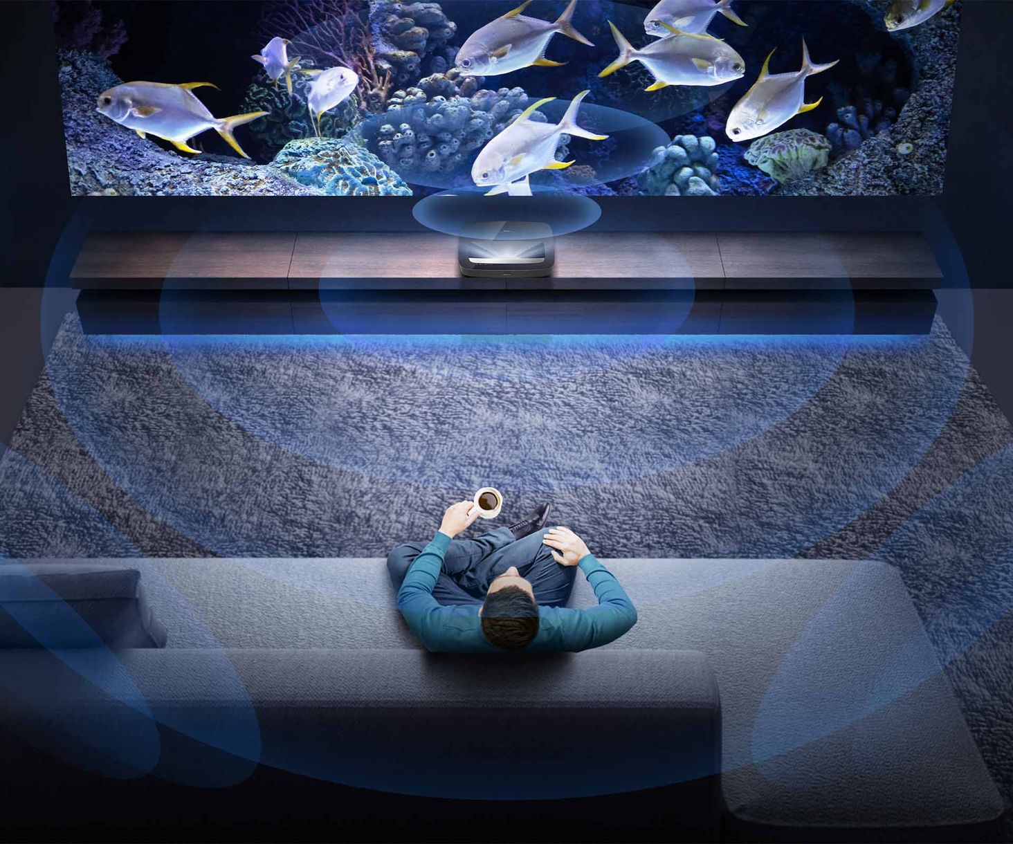 Hisense PL1SE Dolby Vision
