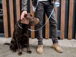 Buty do jeansów. Zobacz najmodniejsze połączenia