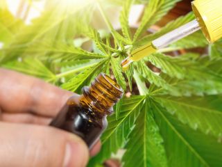 Olejek CBD. Jaki wybrać i jak stosować?